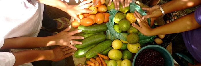 Seguridad alimentaria y mercadeo agropecuario
